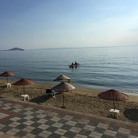 Elisa Tatil Koeyue